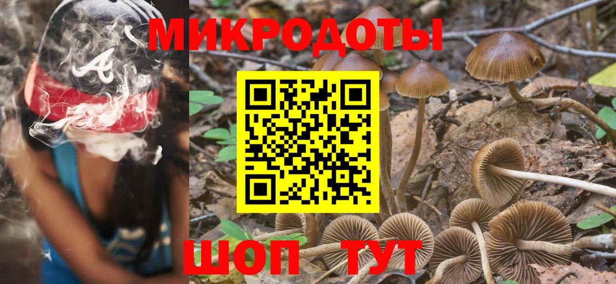 Псилоцибиновые грибы мицелий Гатчина