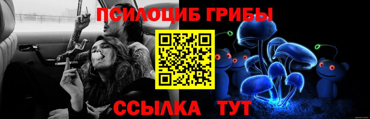 Псилоцибиновые грибы Psilocybine cubensis  Вход с VPN  Гатчина 